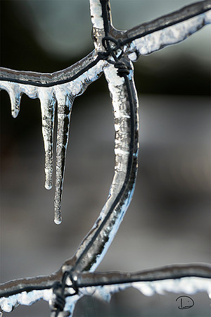 Frozen Link