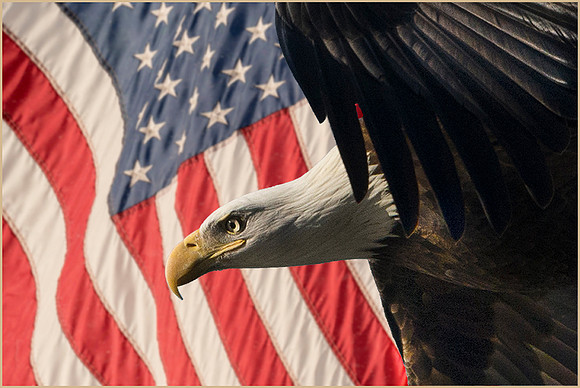 #172 Patriotic Moment