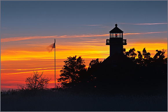 Silhouette #20