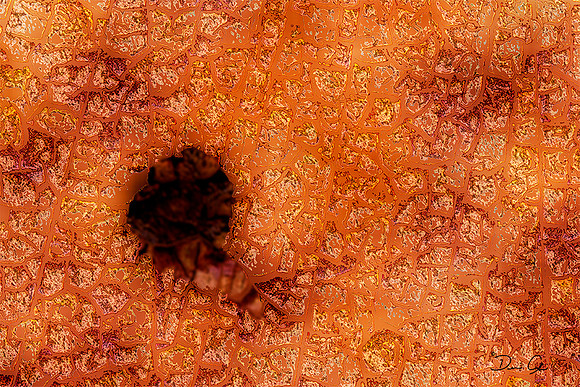 Abstract #1