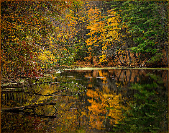 Massachusetts Colors