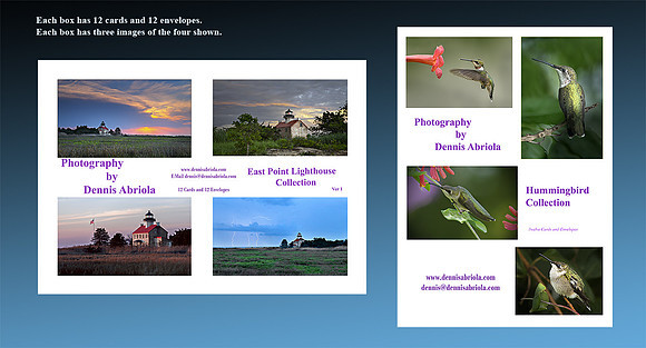 East Point Lighthouse & Humming Birds