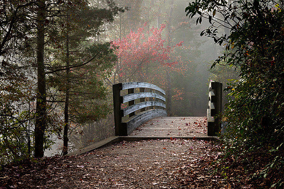 On a Morning Walk