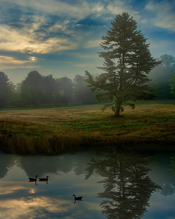 Goose Pond