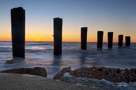 Sentinels at Sunset