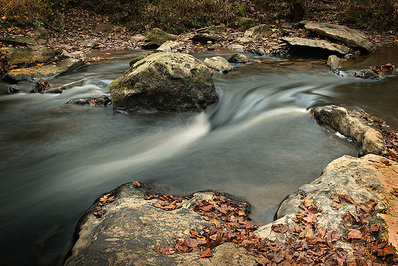 Maryland Stream