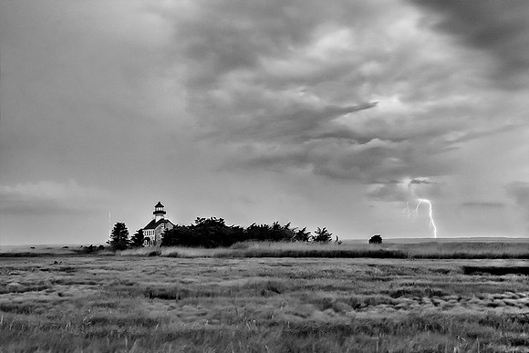 Meadow Storm #101
