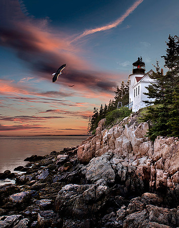 Bass Harbor Lighthouse Maine #242