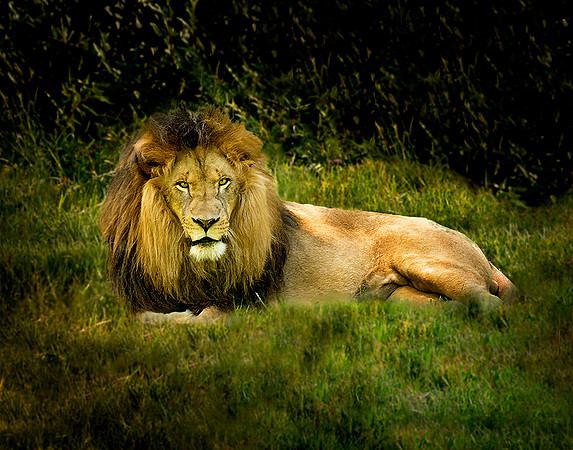 King