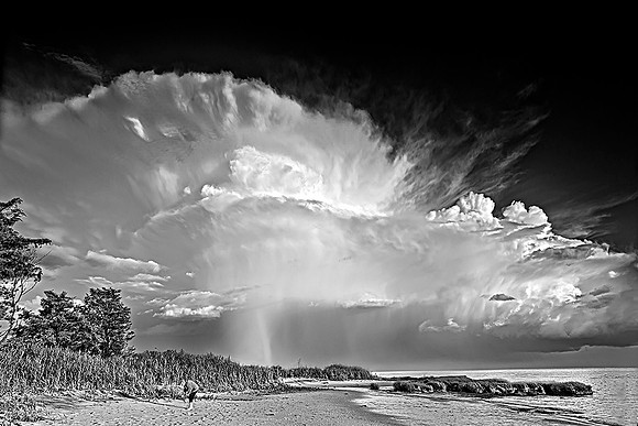 After the Storm #237