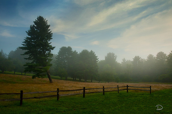 A Fenced in Morning #50