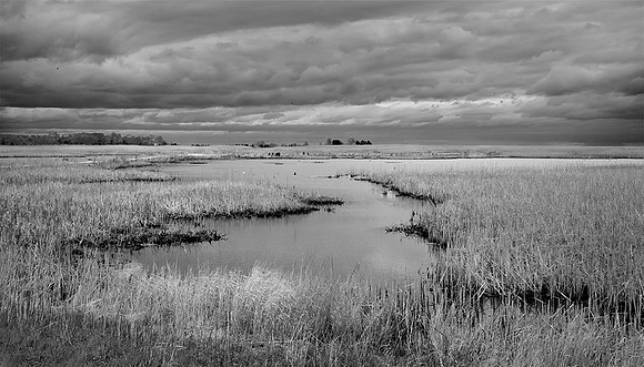 Farsythe National Wildlife Refuge