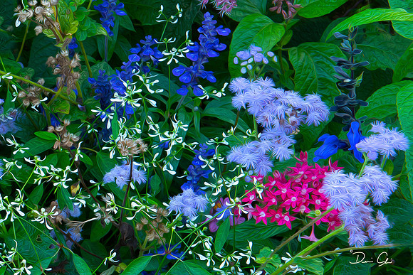 Mixed Flowers