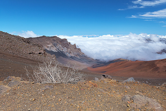 Above the Clouds