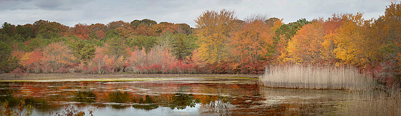 Fall Colors